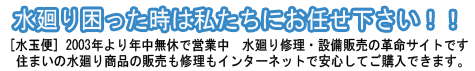 �g�C���܂�E�֌��ʔ̂̃I�����C���V���b�v